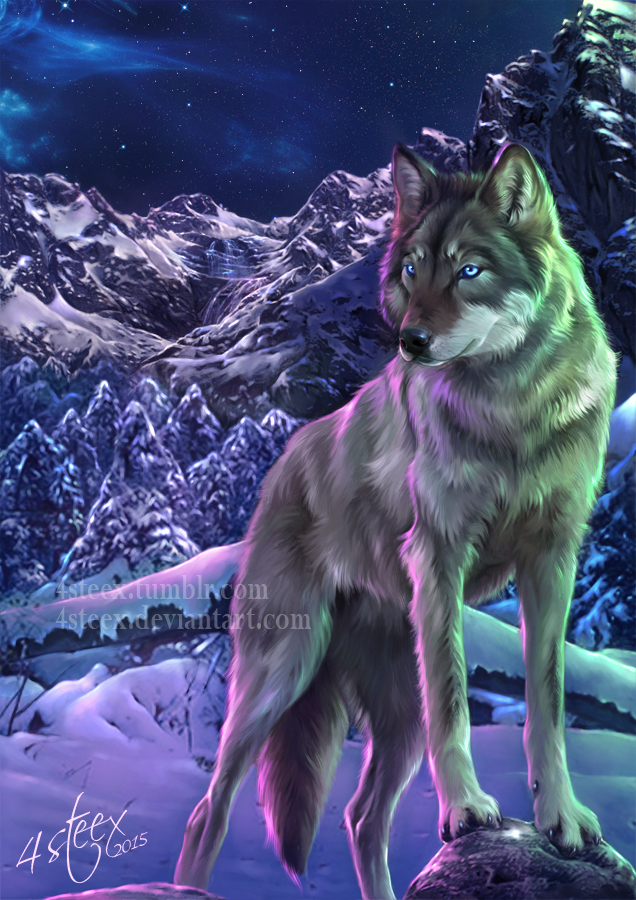 Фото Серый волк стоит на камнях, на фоне заснеженных гор, by 4steex