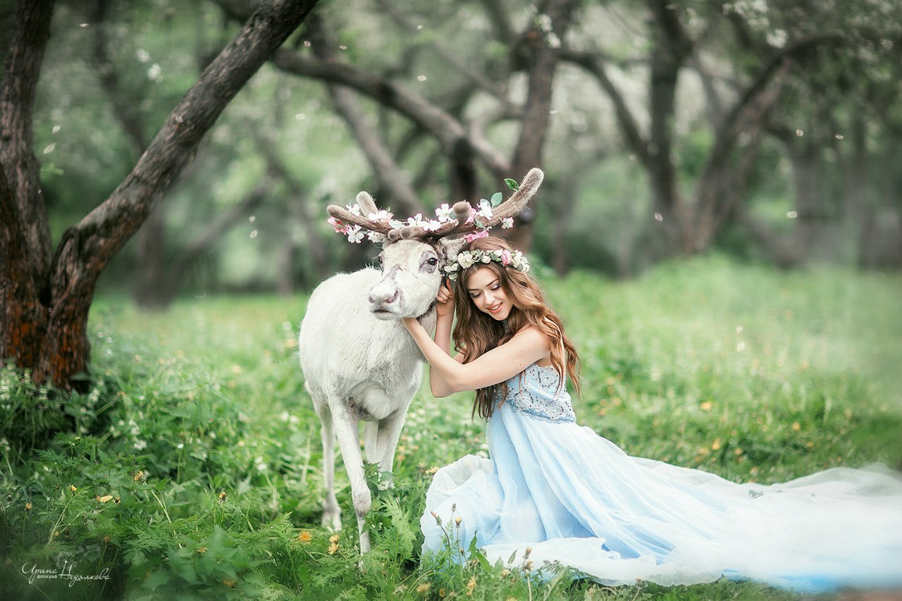 Фото Девушка сидит на зеленой траве обнимая оленя, фотограф Ирина Недялкова