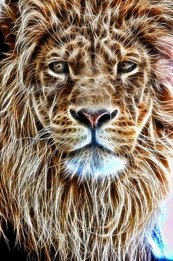 Фото Морда льва в фрактальном стиле