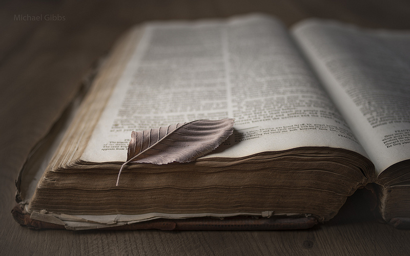 Фото Лист Книга