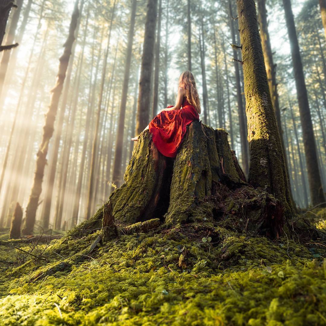 Фото Девушка в красном платье сидит на пеньке в лесу By Elizabeth Gadd