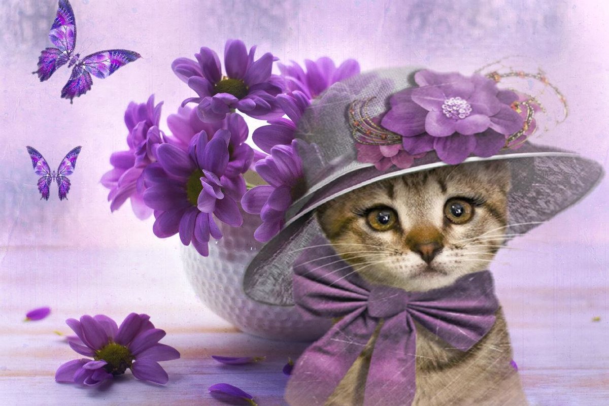 Фото Кошка в шляпке, цветы и бабочки
