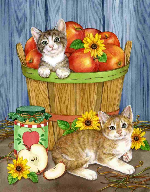 Фото Кошка сидит в лукошке с яблоками, вторая кошка лежит рядом, работа художника Jane Maday