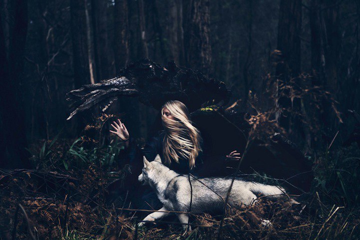 Фото Девушка сидит рядом с волком в лесу, by Маргарита Никки