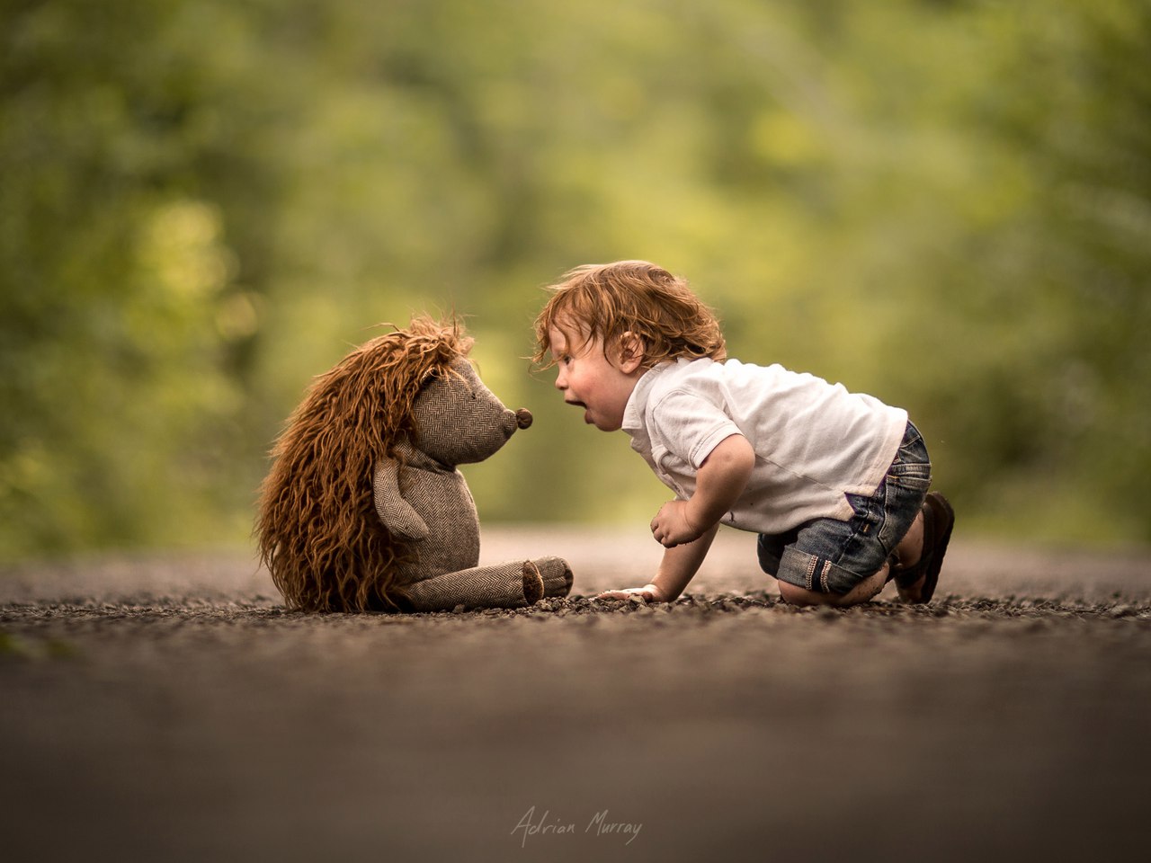 Фото Мальчик с игрушечным ежиком, by Adrian C. Murray