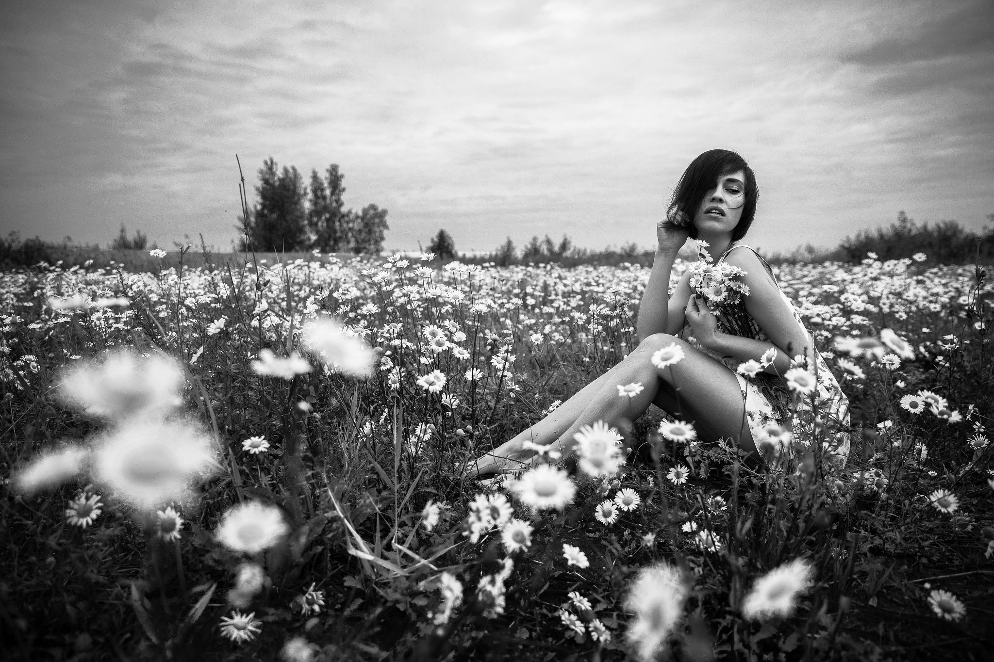 Фото Девушка на ромашковом поле фотограф Ferdinand Studio