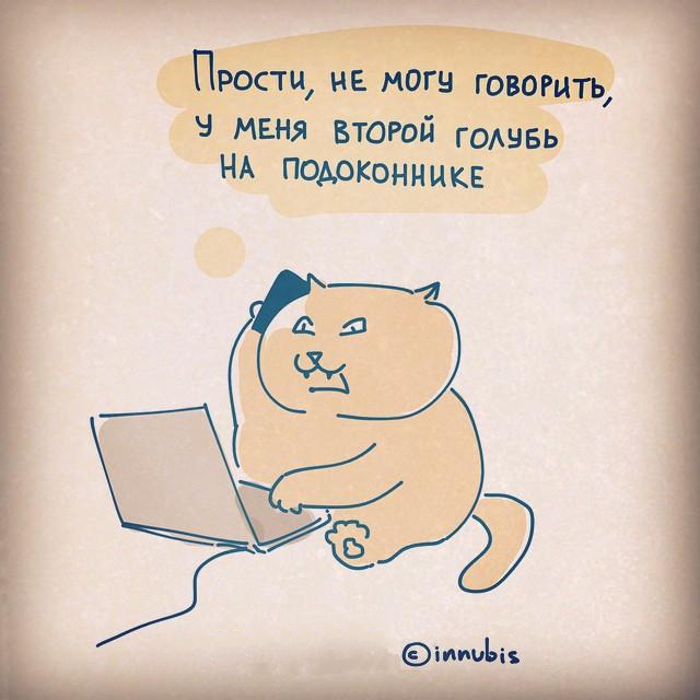 Что общего у меня с моим ноутбуком