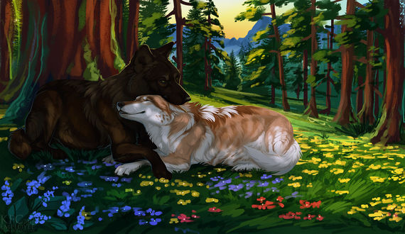 Волк в осеннем лесу Раскраска картина по номерам Dimensions DMS-91362