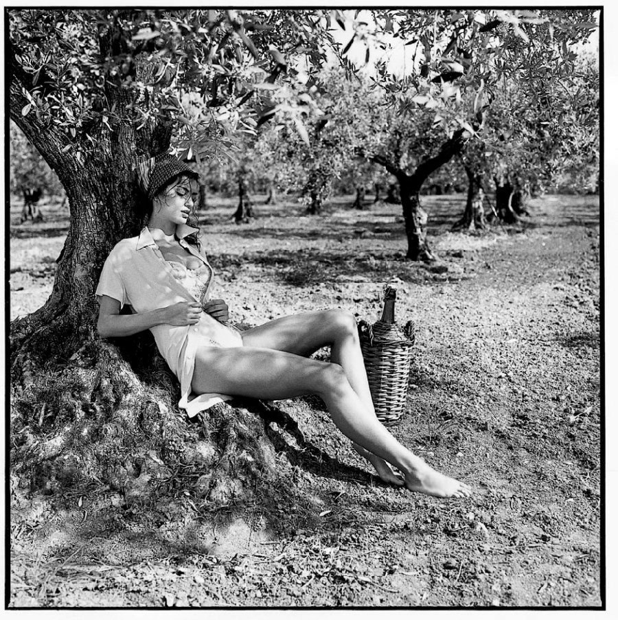Фото Румынская модель Catrinel Menghia / Катринель Менгиа сидит под деревом, фотограф Michel Perez / Мишель Перес
