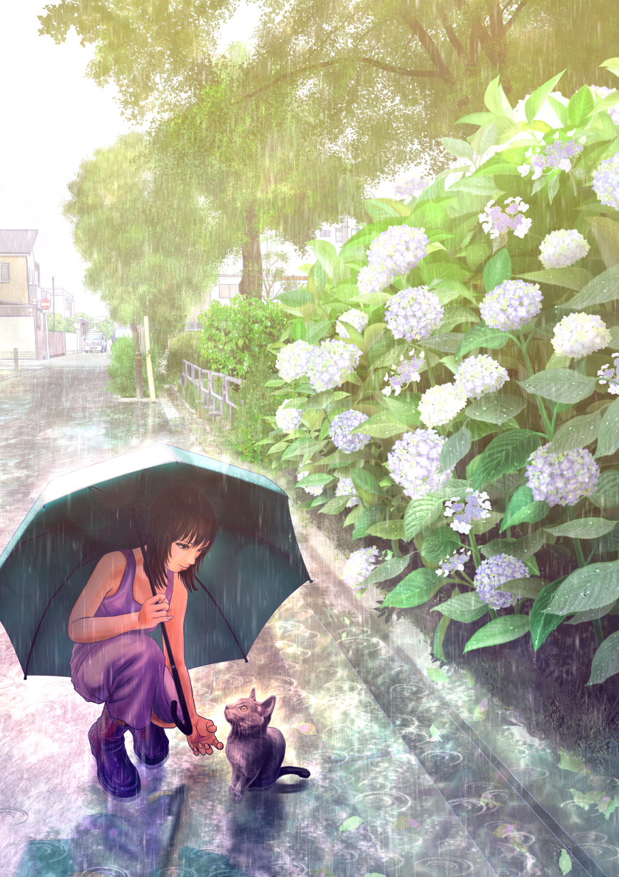Фото Девушка с зонтом под дождем, присев на тротуаре возле цветущих кустов гортензии, протягивает руку кошке, by KUN