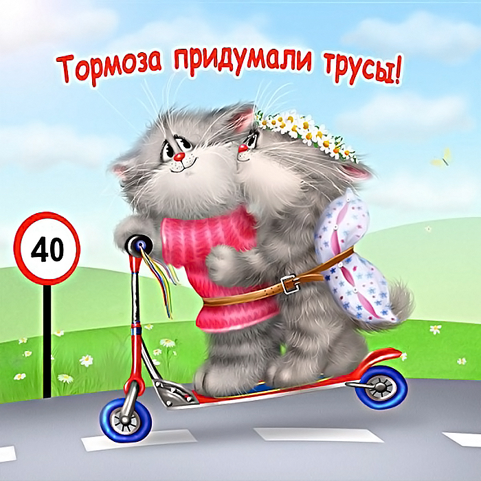 Фото Серый кот в розовой кофточке и кошка в веночке из ромашек едут по дороге на самокате, на дороге стоит знак скрости 40 км (Тормоза придумали трусы! ) иллюстратор Алексей Долотов