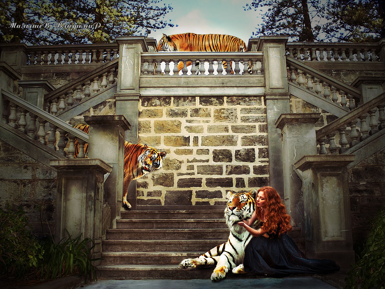 Фото Девушка с тиграми на старинной лестнице