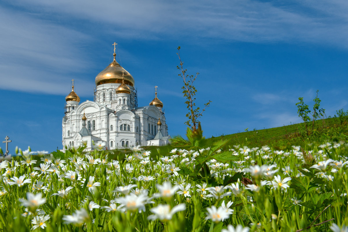 Фото Ромашковое поле на фоне храма с золотыми куполами и голубого неба, фотограф Владимир Чуприков