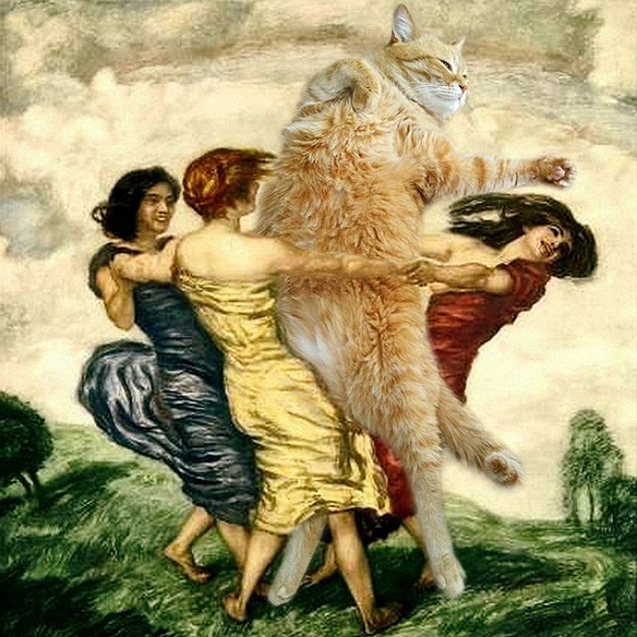 Фото Девушки водят хоровод вокруг огромного рыжего кота