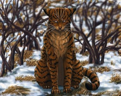 Фото Полосатая кошка сидит на снегу, автор Katanimate