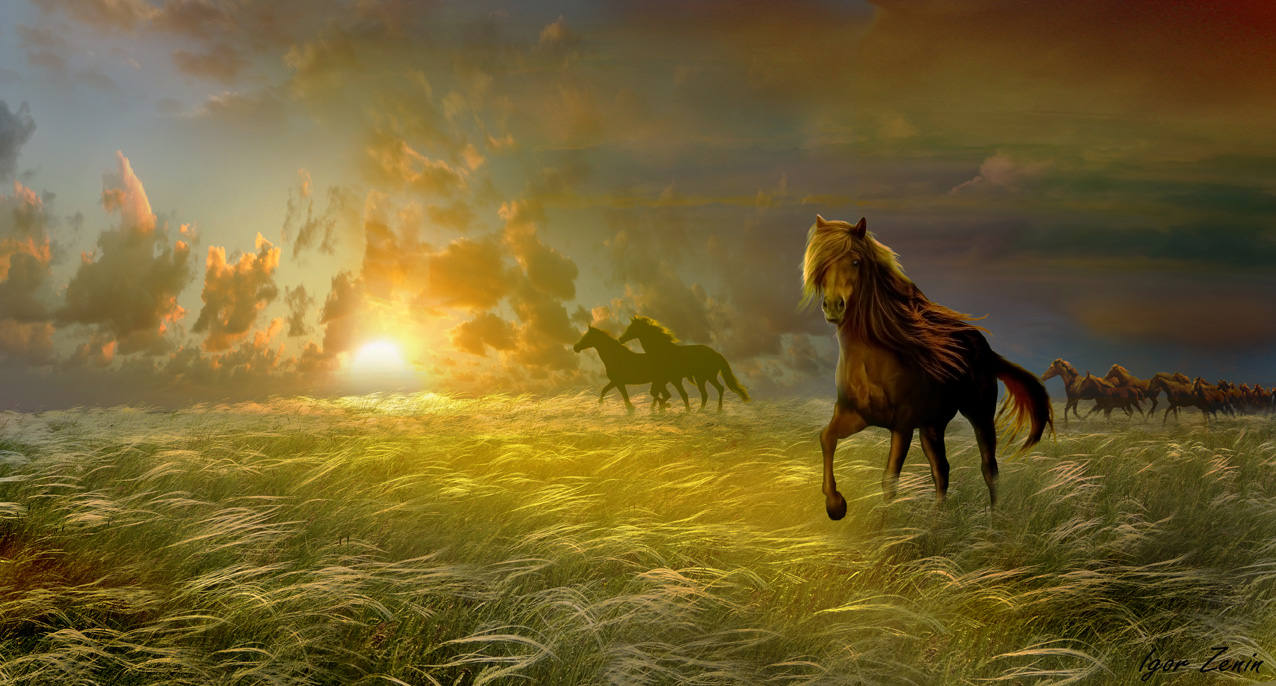 Фото Утро в степи, где пасутся лошади, by Igor Zenin