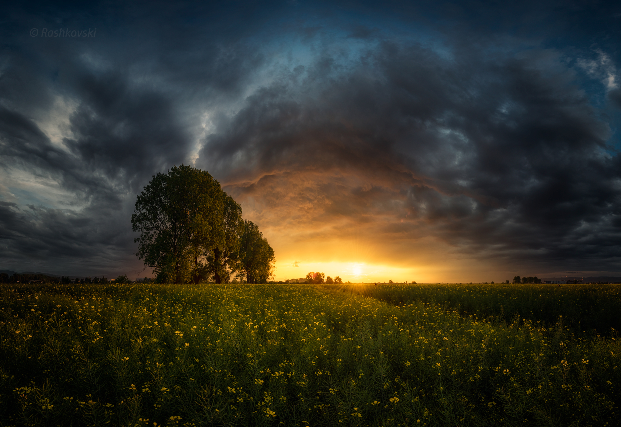 Фото Работа Spring Apocalypse / весенний апокалипсис, огненный закат над  полем, фотограф Емил Рашковски