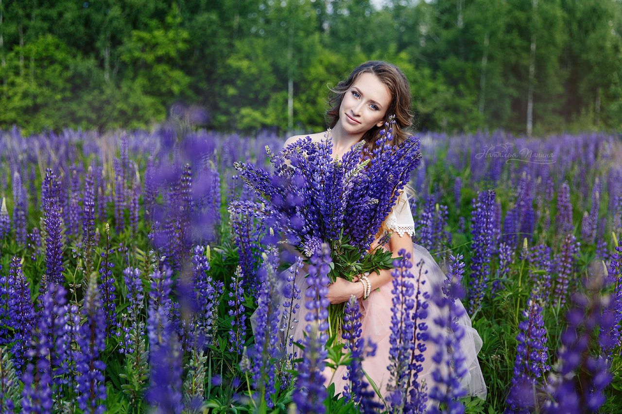 Девушка в поле с букетом люпинов фотограф Панина Наталья