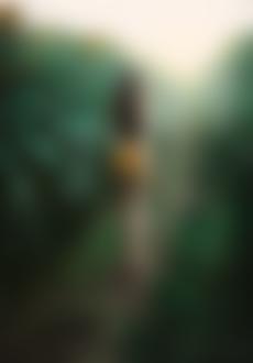 Фото Обнаженная девушка с подсолнухом идет по тропинке, фотограф Светлана Беляева