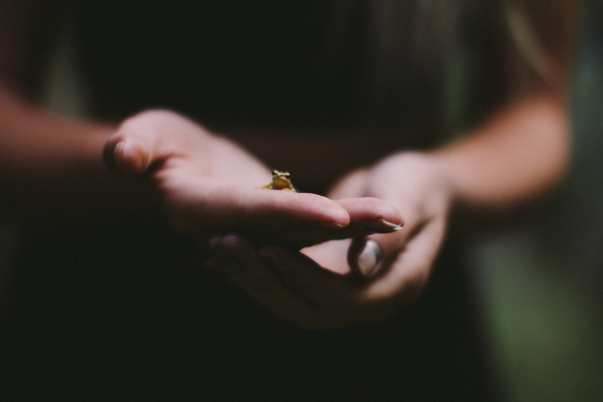 Фото В руках девушки маленькая лягушка, фотограф Dean Raphael