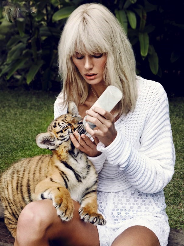 Фото Модель Анна Тунхав кормит с бутылочки тигренка, фотограф Jason Ierace / Джейсон Ирэйс