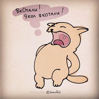 Орущий кот рисунок