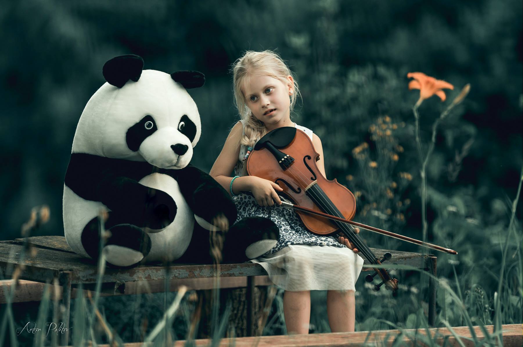 Фото Девочка со скрипкой сидит рядом с игрушечной пандой, фотограф Artur Politov