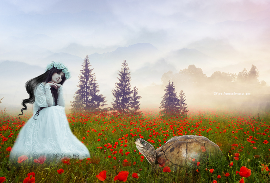 Фото Девушка в венке сидит в поле с маками и смотрит на черепаху, by PlacidAnemia