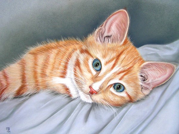 Фото Бело-рыжий котенок с голубыми глазами, by mo62