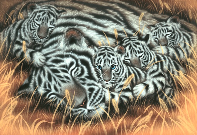 Фото Трое тигрят спят, положив головы на спящую маму тигрицу, один тигренок лежит с открытыми глазами, by Kentaro Nishino