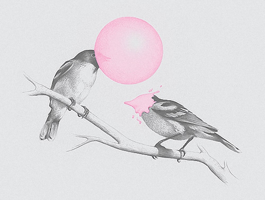 Фото Две птицы надувают шары из жевательной резинки, в одной пузырь лопнул прямо на клюве, by Brock Davis