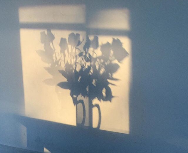Фото на аву тень на стене