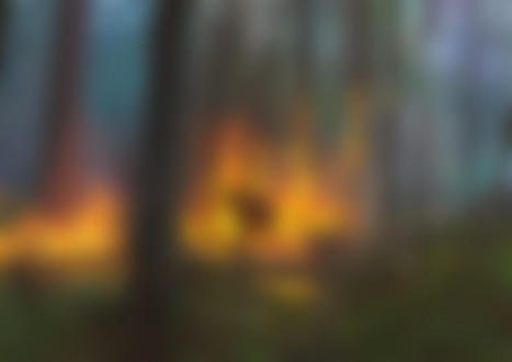 Фото Обнаженная девушка с горящем лесу, by snatti89