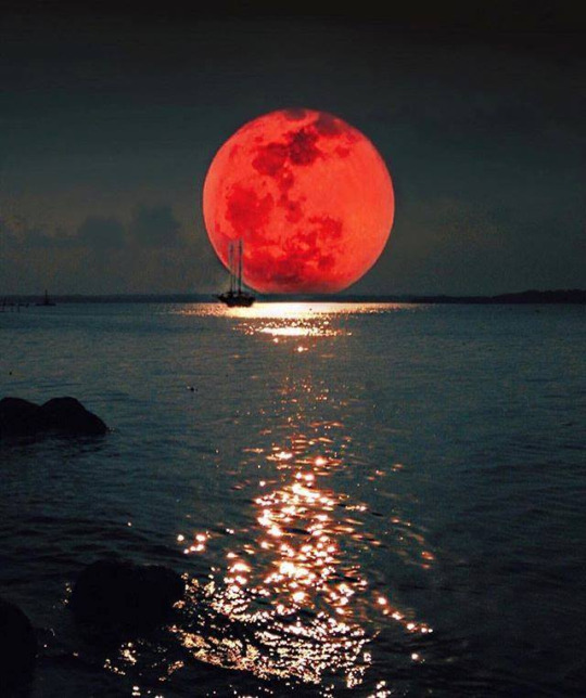 Фото Парусник на фоне огненной луны