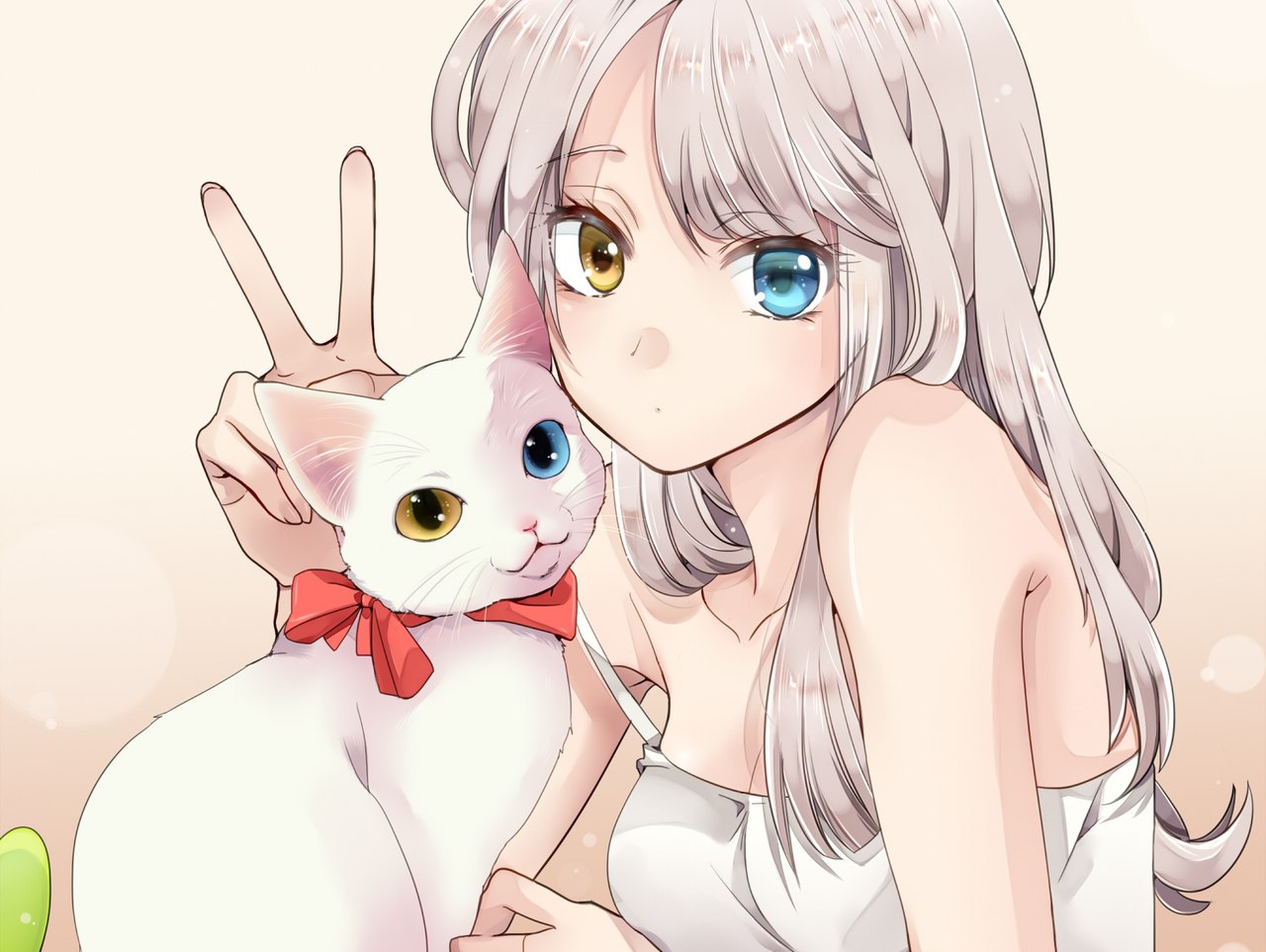 Фото Девушка и белая кошка с разноцветными глазами