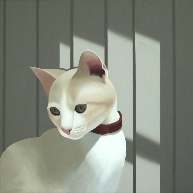 Фото Белая кошка в красном ошейнике