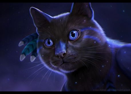 Фото Черный кот с перьями за ухом, by Chiakiro