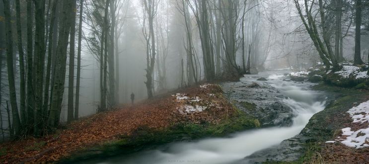 Фотография человека в лесу