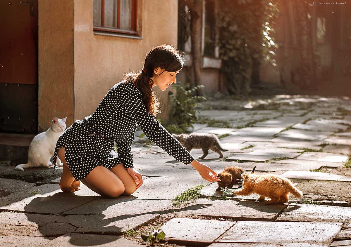 Фото Девушка с котятами на дороге, фотограф Дмитрий Бегма