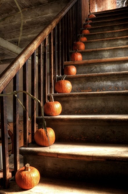 Фото Тыквы лежат на каждой ступеньке лестницы