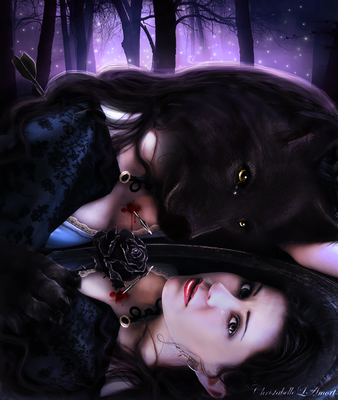Фото Девушка оборотень, с головой черного волка, со слезами на глазах, с пробитой стрелой грудью, склонилась над зеркалом, в котором виден ее настоящий облик, by ChristabelleLAmort