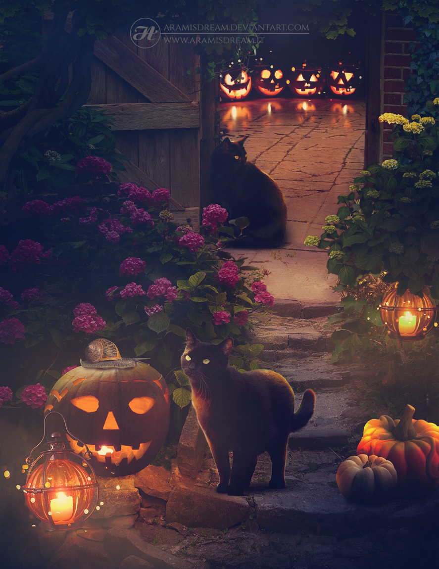Фото Две черных кошки в саду, украшенному к Хэллоуину, by Aramisdream