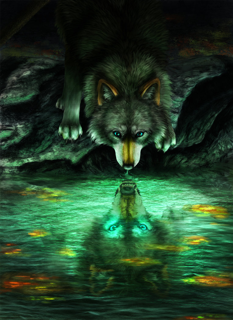 Фото Волк на водопое видит свое отражение в воде, by FelonDog
