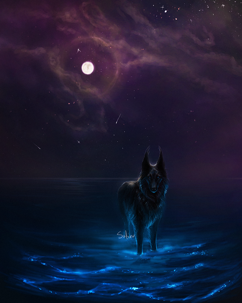 Фото Волк стоит в воде, by Safiru