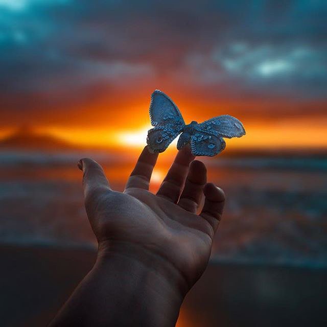 Фото На пальце руки сидит бабочка на фоне заката