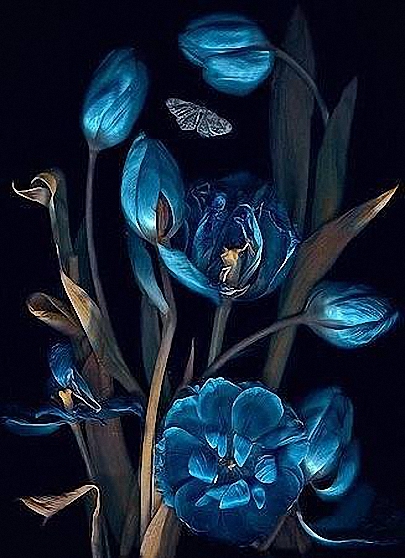 Фото Синие цветы на черном фоне