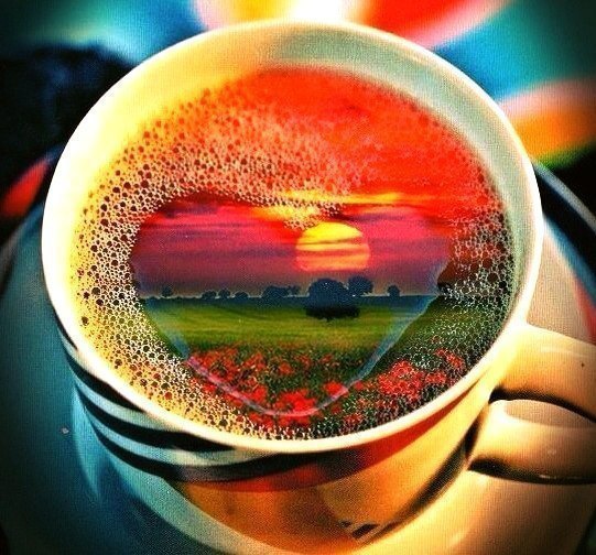 Фото В чашке, на поверхности кофе отражается пейзаж с полем, цветами, небом, солнцем, деревьями