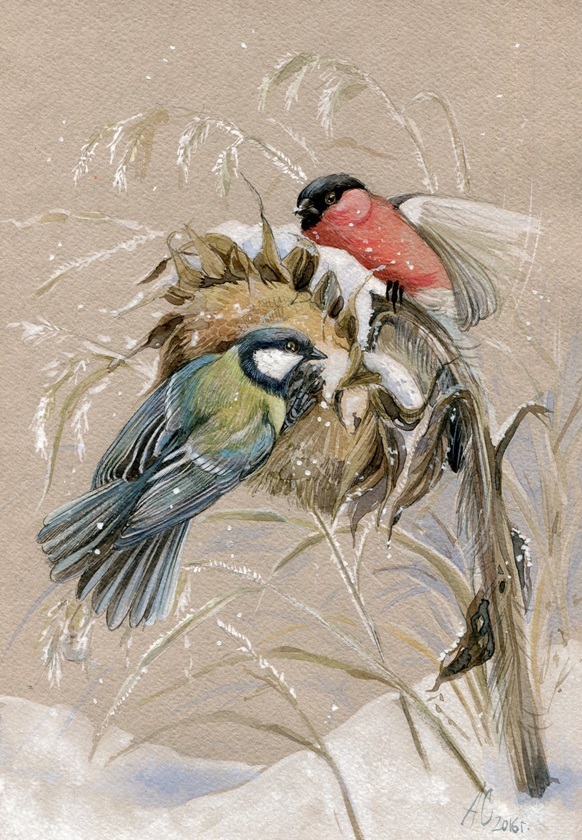 Фото Две птицы сидят на заснеженном подсолнухе, пытаясь добыть себе корм, by Алина Сканцева (Tivel)