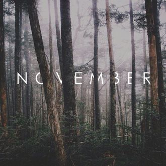 Фото Деревья в лесу (november / ноябрь)