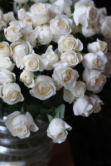 Фото Белые розы в вазе